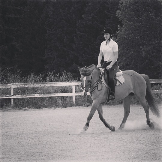 Cowichan District Riding Club